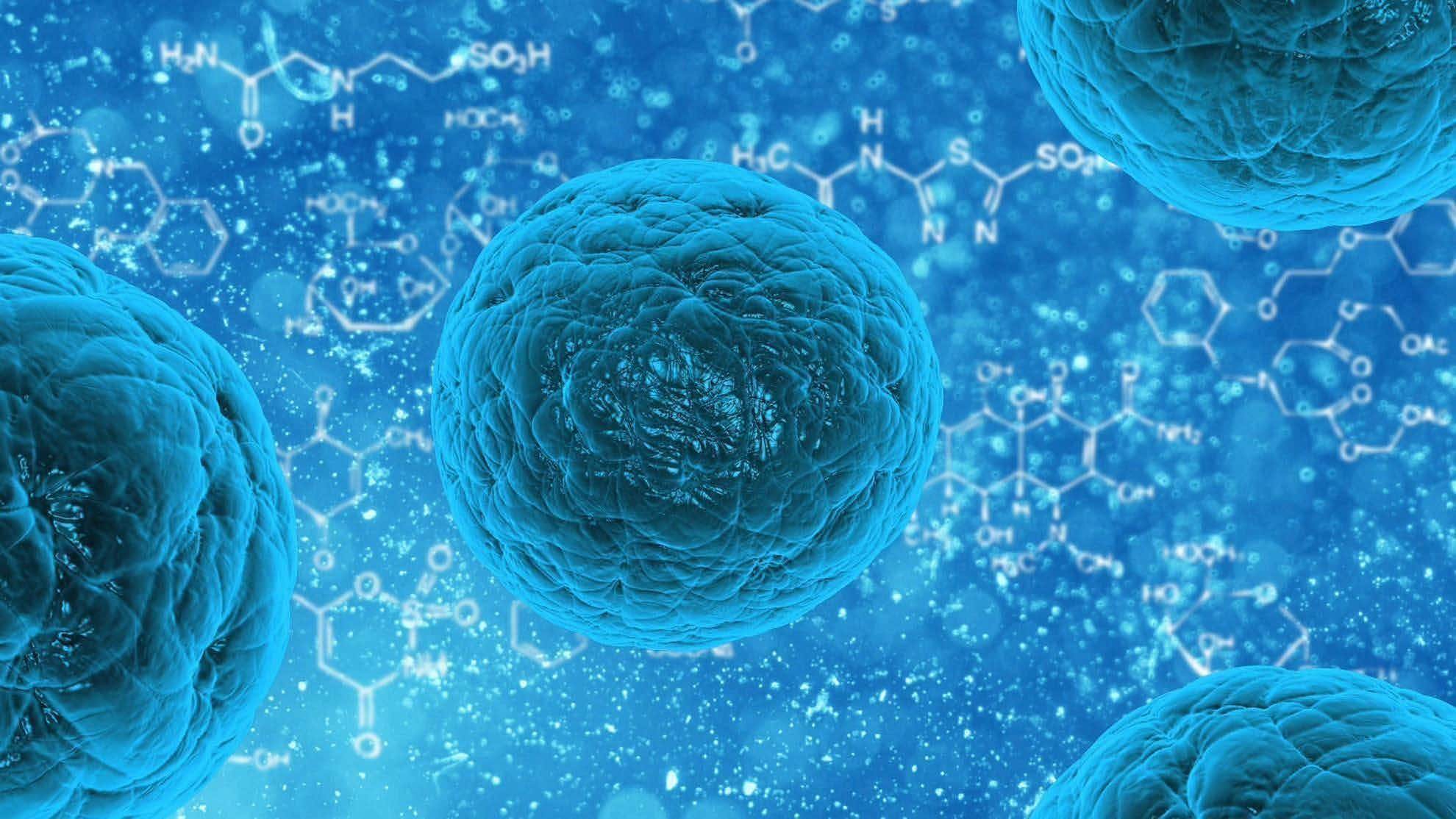 aiuto-esami-di-laurea-per-facolta-di-scienze-biologiche